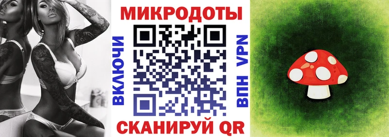 Галлюциногенные грибы прущие грибы hydra как войти Михайловка